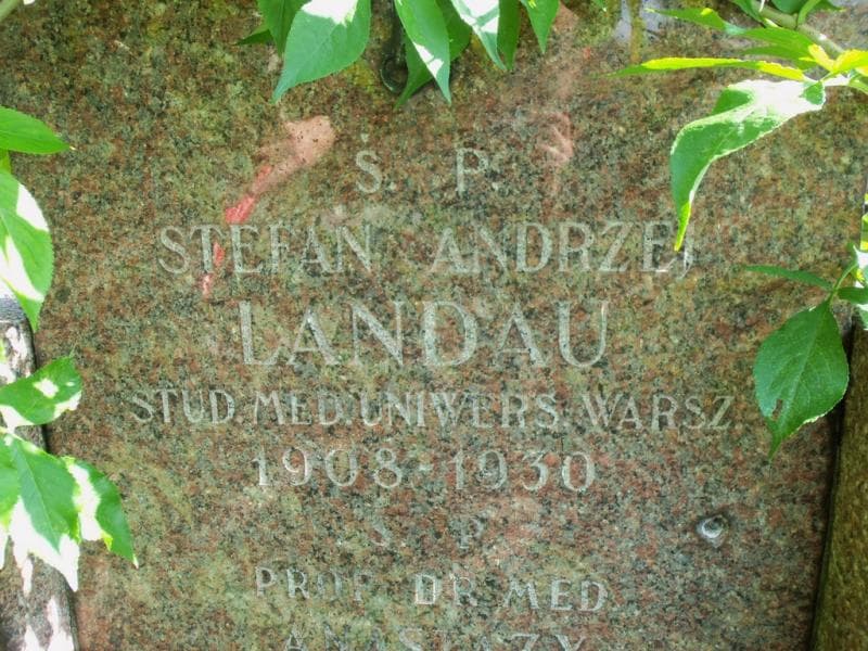 Zdjęcie grobu Wanda Landau (2)