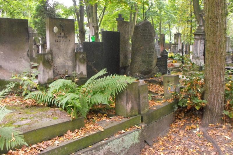 Zdjęcie grobu Czesio Makulski (1)