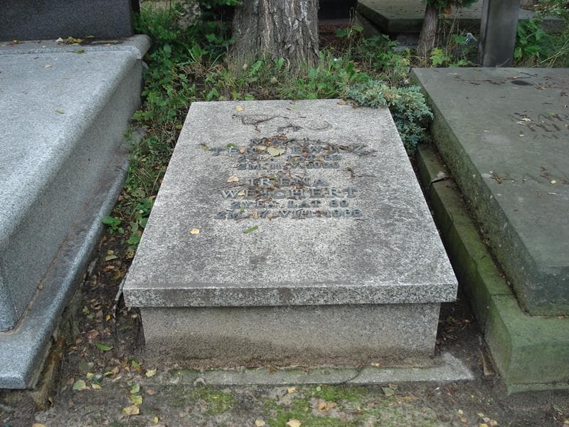 Zdjęcie grobu: Maria Terajewicz