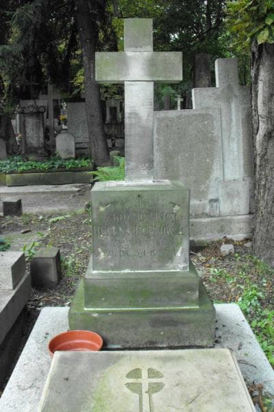 Zdjęcie grobu Aleksander Koźmiński (2)