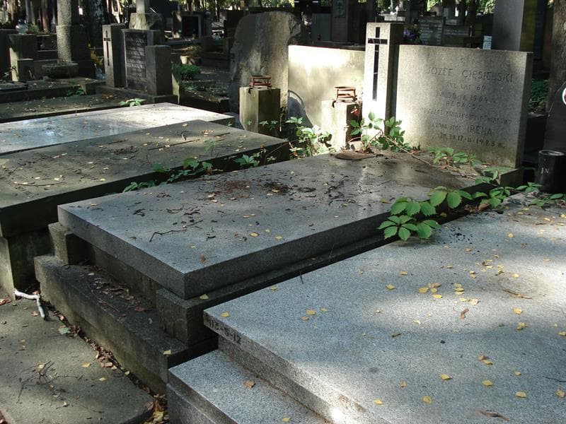 Zdjęcie grobu: Józef Ciesielski