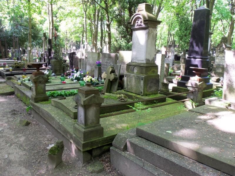 Zdjęcie grobu Reniusia Klimek (1)