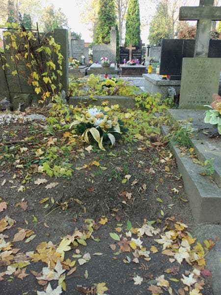 Zdjęcie grobu: Anonim