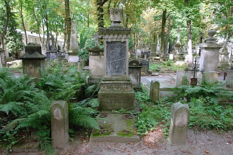 Zdjęcie grobu Antoni Zawadzki (1)