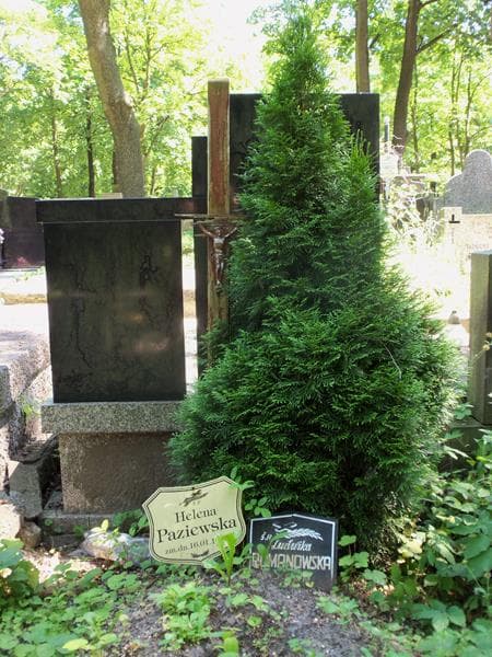 Zdjęcie grobu Helena Paziewska (2)