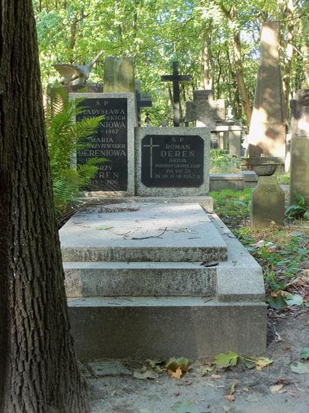 Zdjęcie grobu: Władysława Dereniowa