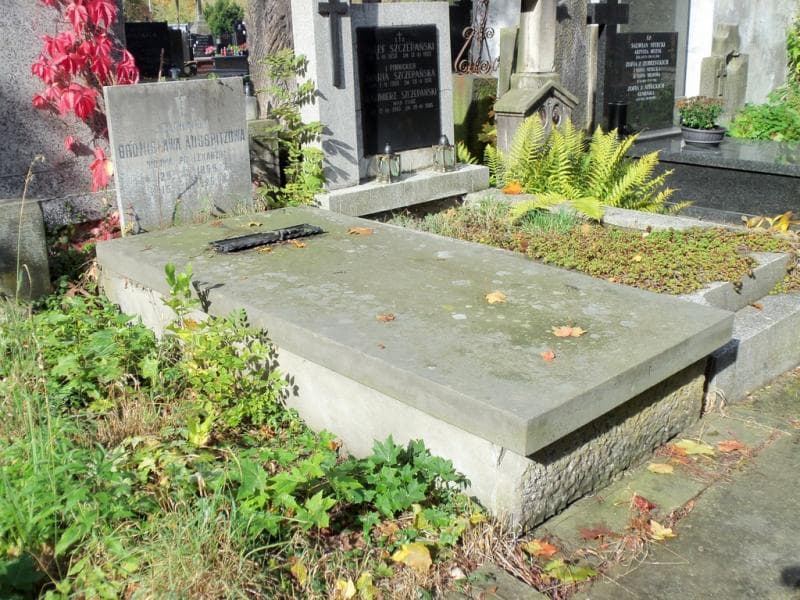 Zdjęcie grobu Józef Ausspitz (1)