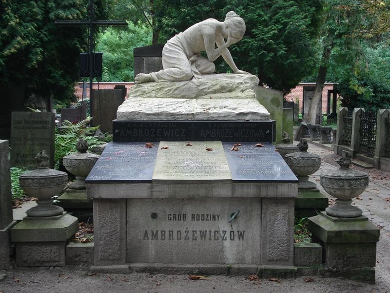 Zdjęcie grobu: Stefan Ambrożewicz