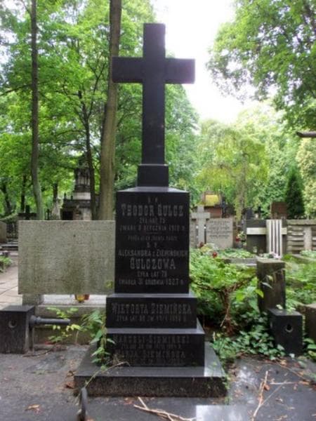 Zdjęcie grobu Teodor Gulcz (2)