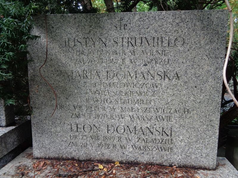 Zdjęcie grobu Leon Domański (2)