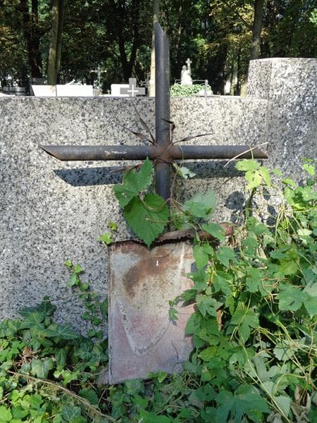 Zdjęcie grobu Maria Wasilewska (1)