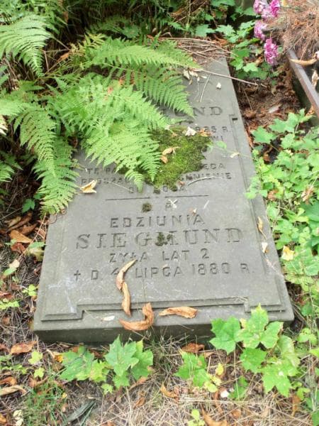 Zdjęcie grobu Edziunia Siegmund (2)