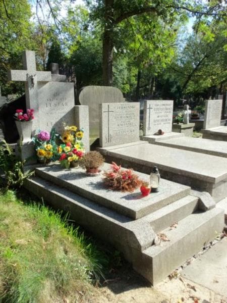 Zdjęcie grobu Kazimierz Lesiak (1)