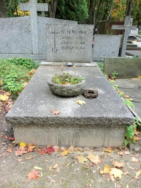 Zdjęcie grobu: Witold Atler
