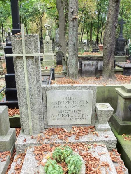 Zdjęcie grobu Anna Opaleńska (2)