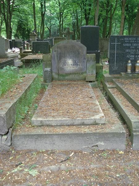 Zdjęcie grobu: Zofia Lemanowa