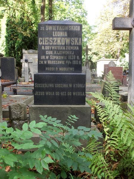 Zdjęcie grobu Leonia Cieszkowska (2)