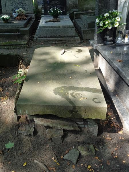 Zdjęcie grobu Wiktorja Struss (1)