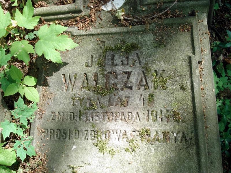 Zdjęcie grobu Julja Walczak (2)