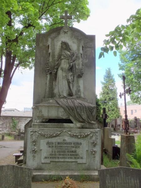 Zdjęcie grobu Juliusz Herman (2)