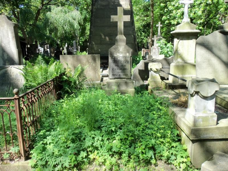 Zdjęcie grobu: Marja Janowska