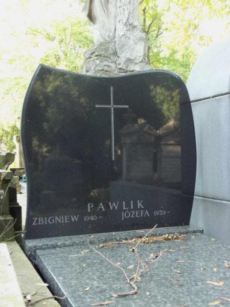 Zdjęcie grobu Pawlikowie (1)