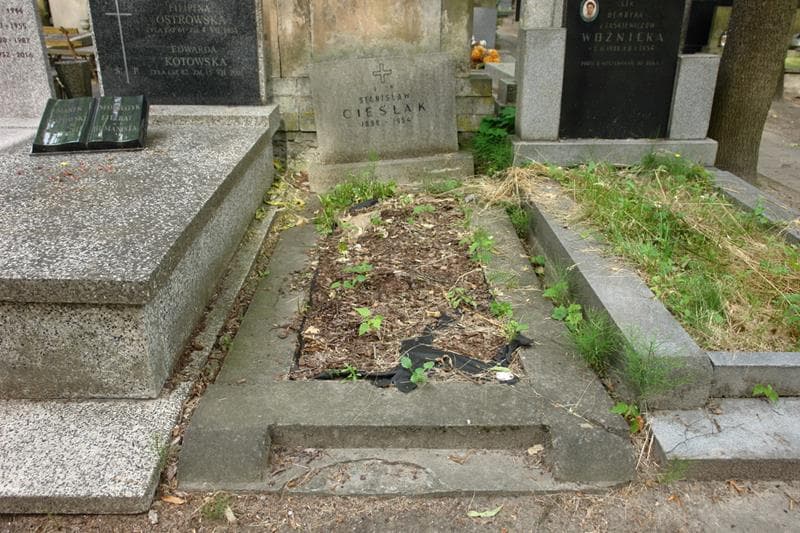 Zdjęcie grobu Stanisław Cieślak (1)