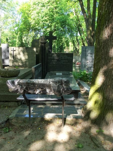 Zdjęcie grobu: Józef Ceglecki