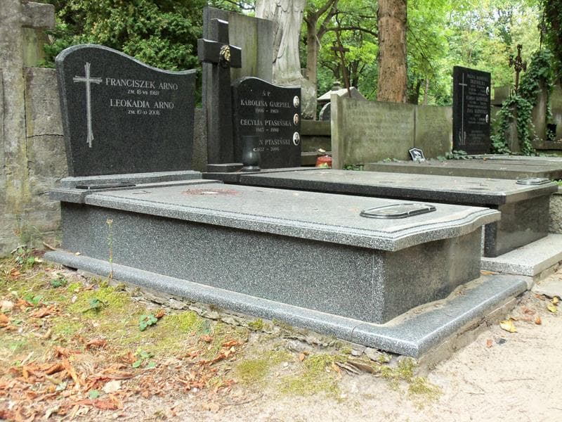 Zdjęcie grobu Franciszek Arno (1)