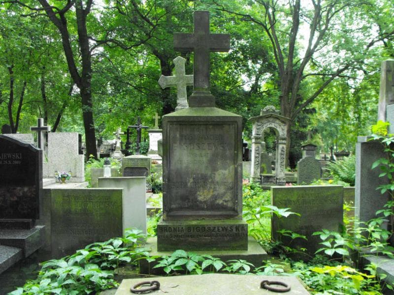 Zdjęcie grobu Józefat Strycharzewski (2)