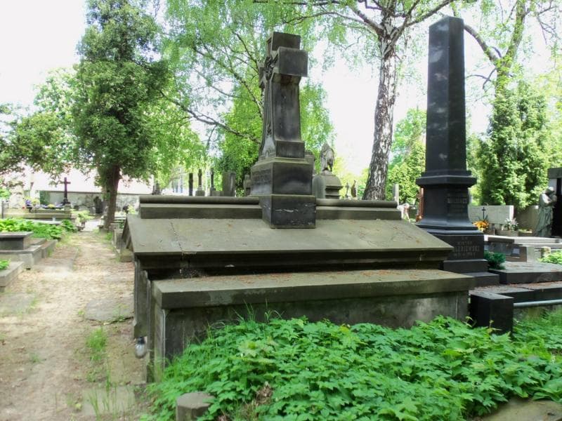 Zdjęcie grobu Franciszka Czarnecka (1)
