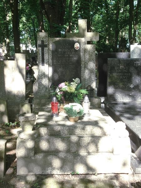 Zdjęcie grobu: Aniela Wołoszys