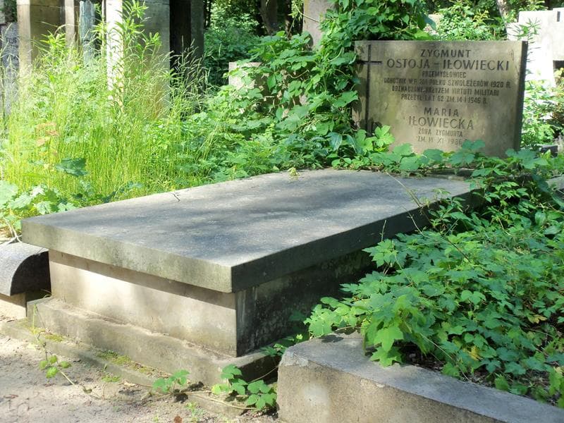 Zdjęcie grobu Maria Iłowiecka (1)