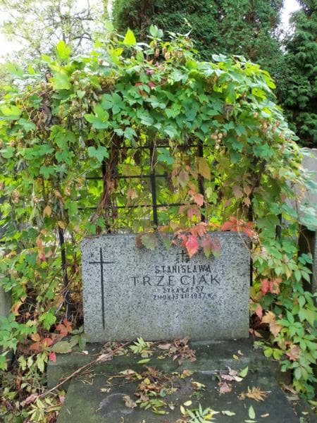 Zdjęcie grobu Stanisława Trzeciak (2)