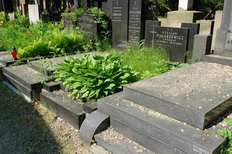 Zdjęcie grobu: Czesław Białaszewicz