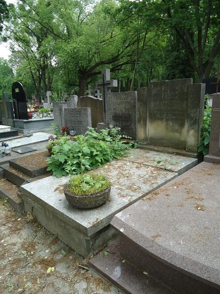 Zdjęcie grobu Stanisław Broszkowski (1)