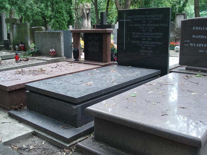 Zdjęcie grobu Kazimierz Borkowski (1)