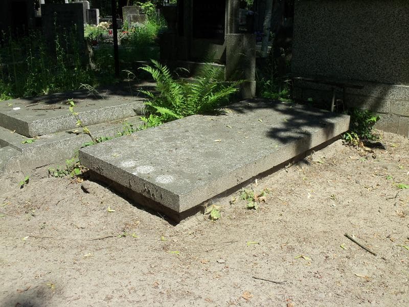 Zdjęcie grobu Hanka Zetel-Łacińska (1)