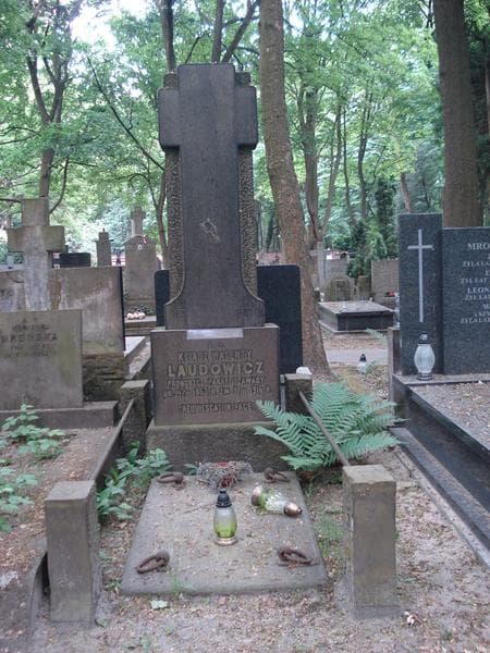 Zdjęcie grobu: Walenty Laudowicz