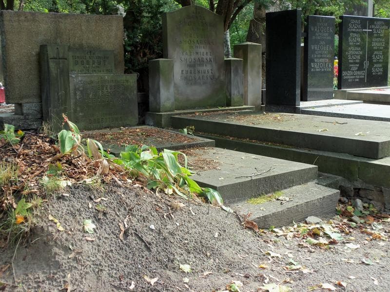 Zdjęcie grobu Cecylja Brzozowska (1)