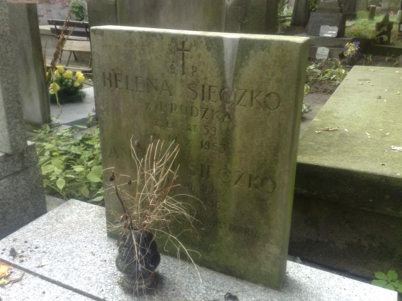 Zdjęcie grobu Helena Sieczko (2)