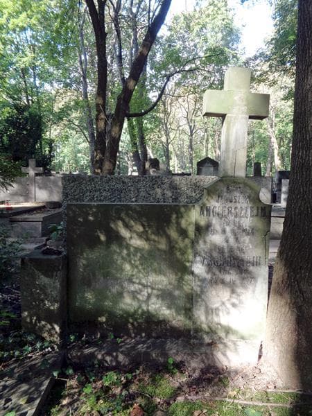 Zdjęcie grobu Januszek Angiersztejn (2)