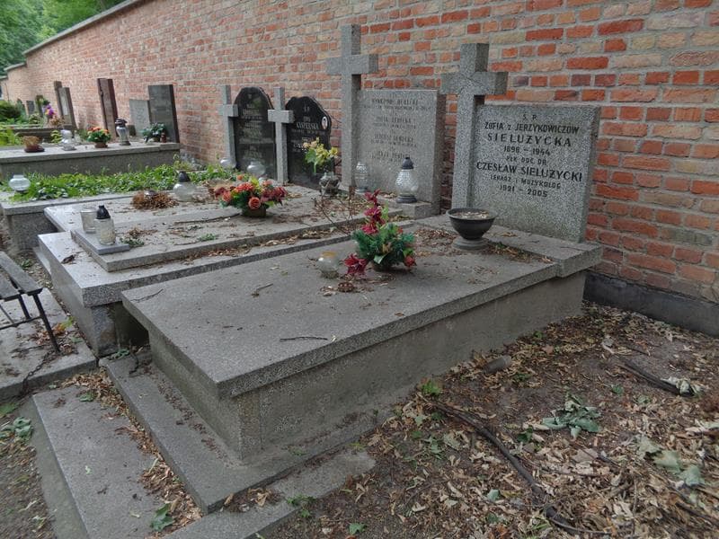 Zdjęcie grobu: Czesław Sielużycki