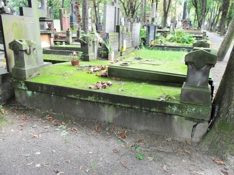 Zdjęcie grobu Mierzyńscy (2)