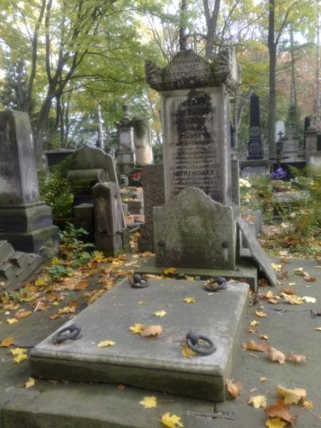 Zdjęcie grobu Ignacy Mierzwiński (1)