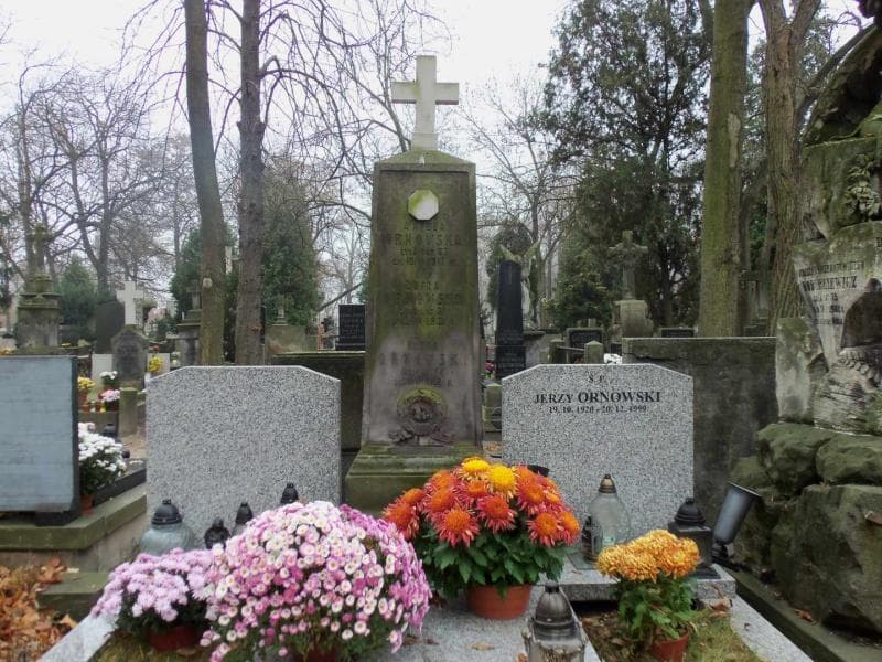 Zdjęcie grobu Zofja Ornowska (2)