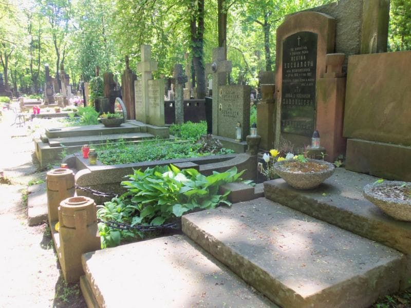 Zdjęcie grobu Regina Kucharova (1)