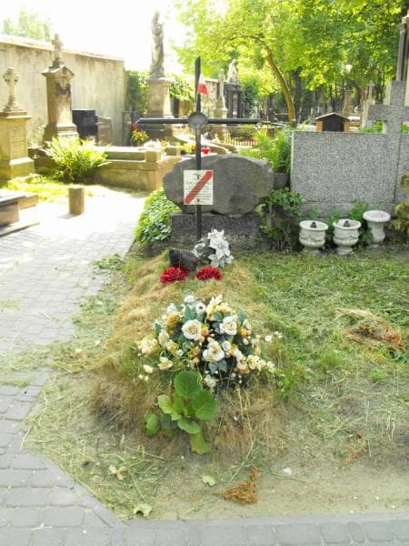 Zdjęcie grobu: Szymon Tokarzewski