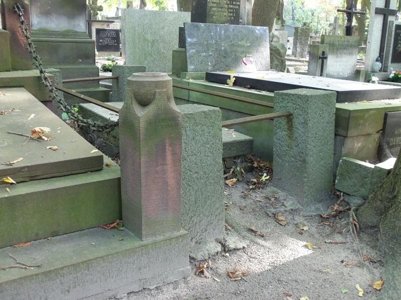 Zdjęcie grobu Stanisława Dobrzańska (1)