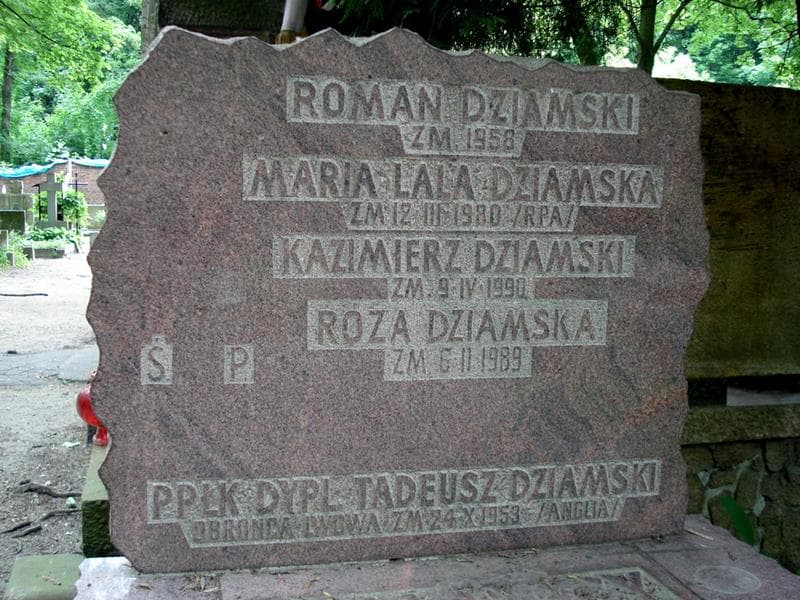 Zdjęcie grobu Roman Dziamski (2)